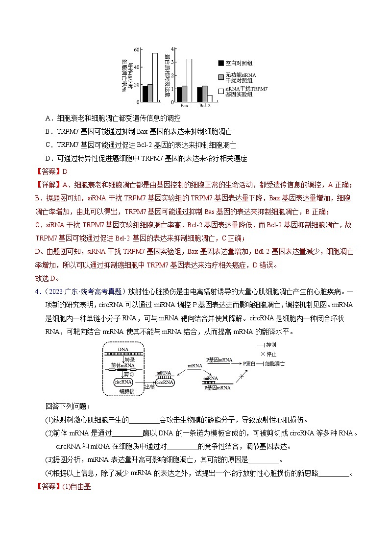 专题07 细胞得分化、衰老、凋亡及癌变-学易金卷：五年（2019-2023）高考生物真题分项汇编（全国通用）（解析版）第2页