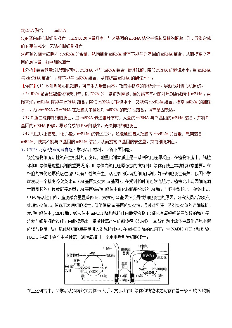 专题07 细胞得分化、衰老、凋亡及癌变-学易金卷：五年（2019-2023）高考生物真题分项汇编（全国通用）（解析版）第3页