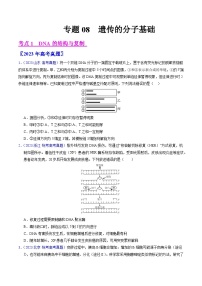 高考生物真题分项汇编（全国通用）五年（2019-2023）专题08 遗传的分子基础