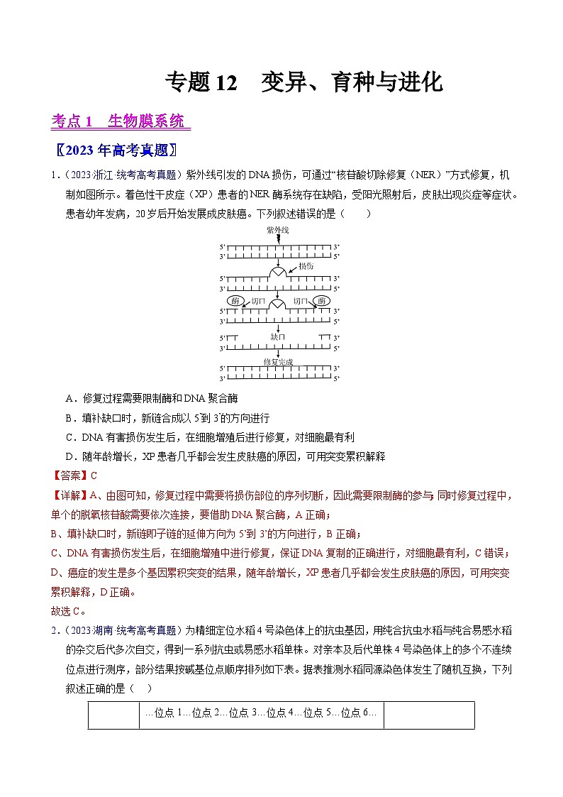 高考生物真题分项汇编（全国通用）五年（2019-2023）专题12 变异、育种与进化01