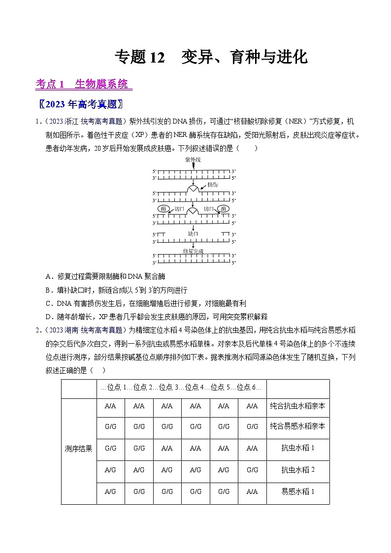 高考生物真题分项汇编（全国通用）五年（2019-2023）专题12 变异、育种与进化01