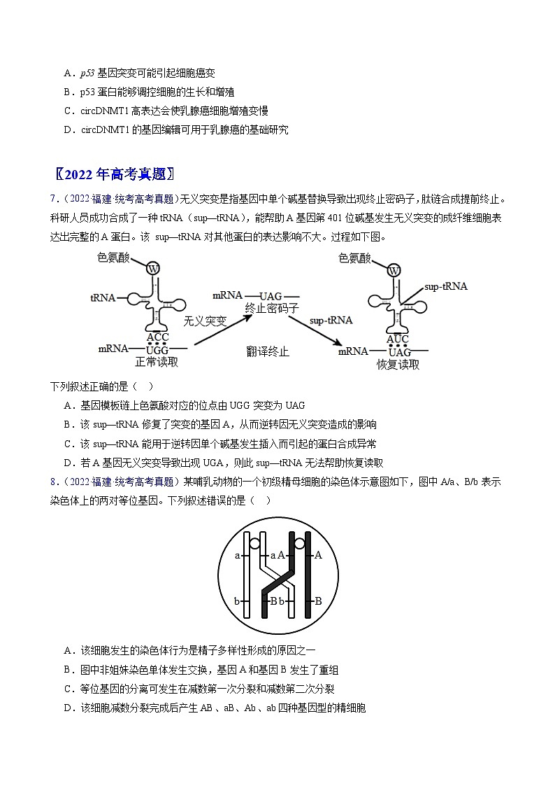 高考生物真题分项汇编（全国通用）五年（2019-2023）专题12 变异、育种与进化03