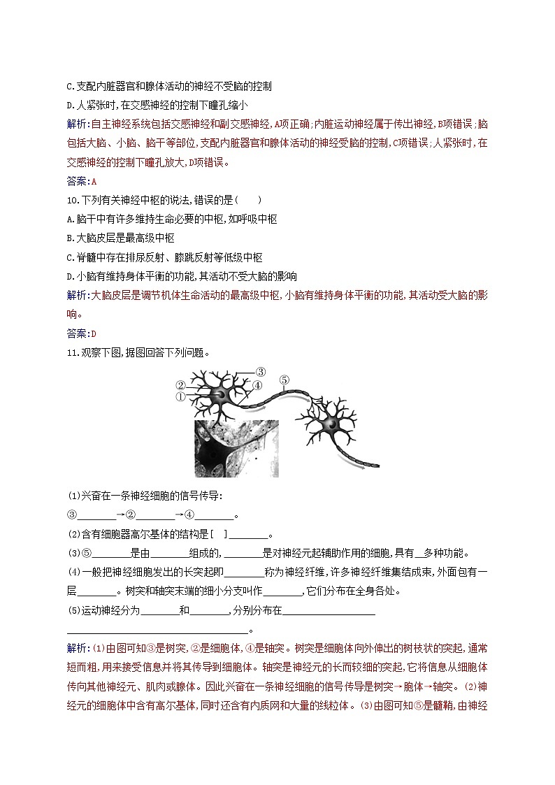 新教材2023高中生物第2章神经调节第1节神经调节的结构基础同步测试新人教版选择性必修103