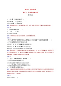 人教版 (2019)选择性必修1第5节 人脑的高级功能当堂达标检测题