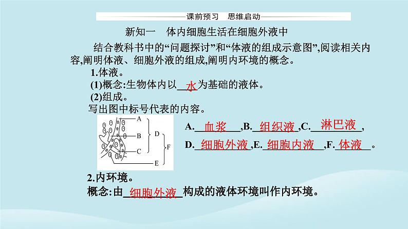 新教材2023高中生物第1章人体的内环境与稳态第1节细胞生活的环境课件新人教版选择性必修103