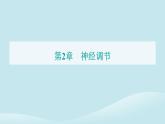 新教材2023高中生物第2章神经调节第1节神经调节的结构基次件新人教版选择性必修1课件PPT