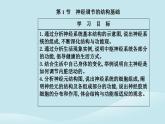 新教材2023高中生物第2章神经调节第1节神经调节的结构基次件新人教版选择性必修1课件PPT