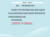 新教材2023高中生物第2章神经调节第1节神经调节的结构基次件新人教版选择性必修1课件PPT