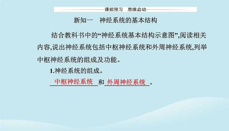 新教材2023高中生物第2章神经调节第1节神经调节的结构基次件新人教版选择性必修1课件PPT第3页