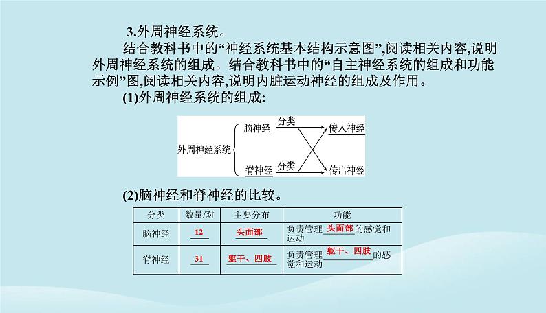 新教材2023高中生物第2章神经调节第1节神经调节的结构基次件新人教版选择性必修1课件PPT第5页