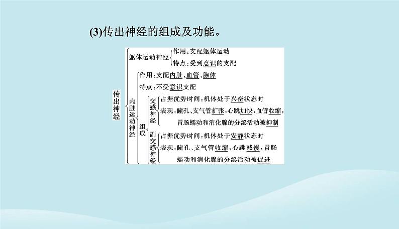 新教材2023高中生物第2章神经调节第1节神经调节的结构基次件新人教版选择性必修1课件PPT第6页