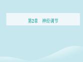 新教材2023高中生物第2章神经调节第2节神经调节的基本方式课件新人教版选择性必修1