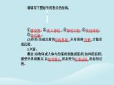 新教材2023高中生物第2章神经调节第2节神经调节的基本方式课件新人教版选择性必修1