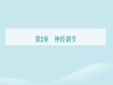 新教材2023高中生物第2章神经调节第3节神经冲动的产生和传导课件新人教版选择性必修1