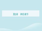 新教材2023高中生物第2章神经调节第3节神经冲动的产生和传导课件新人教版选择性必修1