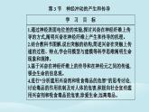 新教材2023高中生物第2章神经调节第3节神经冲动的产生和传导课件新人教版选择性必修1