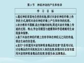 新教材2023高中生物第2章神经调节第3节神经冲动的产生和传导课件新人教版选择性必修1