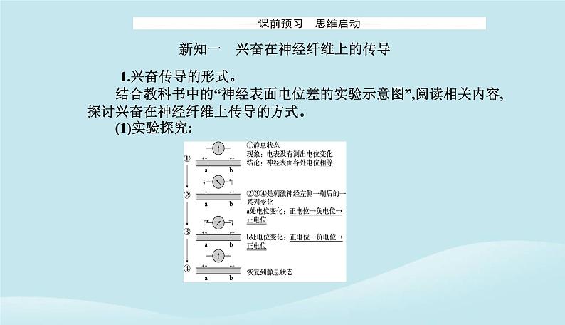 新教材2023高中生物第2章神经调节第3节神经冲动的产生和传导课件新人教版选择性必修1第3页