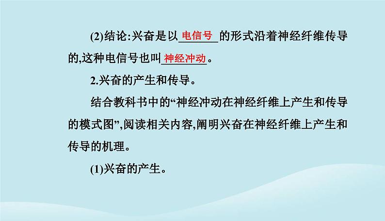 新教材2023高中生物第2章神经调节第3节神经冲动的产生和传导课件新人教版选择性必修1第4页