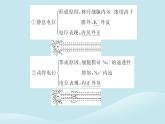 新教材2023高中生物第2章神经调节第3节神经冲动的产生和传导课件新人教版选择性必修1