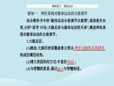 新教材2023高中生物第2章神经调节第4节神经系统的分级调节课件新人教版选择性必修1