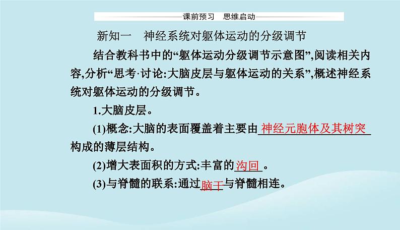 新教材2023高中生物第2章神经调节第4节神经系统的分级调节课件新人教版选择性必修1第3页