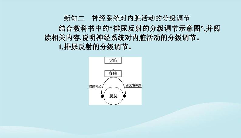 新教材2023高中生物第2章神经调节第4节神经系统的分级调节课件新人教版选择性必修1第5页