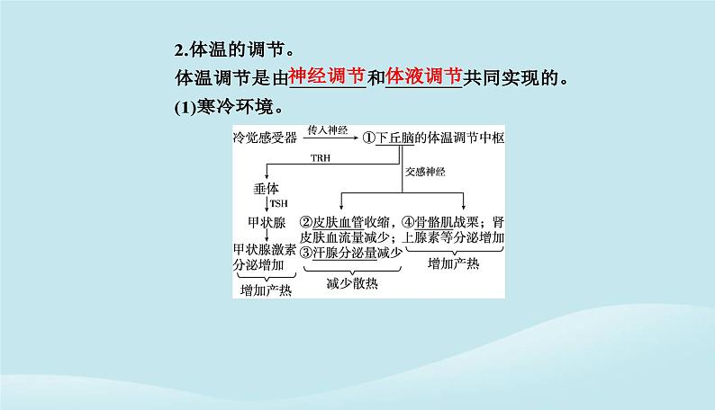 新教材2023高中生物第3章体液调节第3节体液调节与神经调节的关系课件新人教版选择性必修1第6页