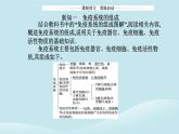 新教材2023高中生物第4章免疫调节第1节免疫系统的组成和功能课件新人教版选择性必修1