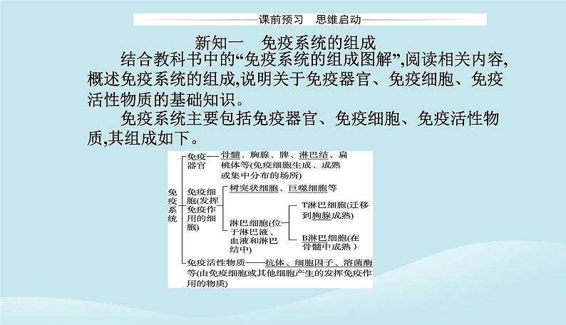 新教材2023高中生物第4章免疫调节第1节免疫系统的组成和功能课件新人教版选择性必修1第3页