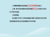 新教材2023高中生物第4章免疫调节第1节免疫系统的组成和功能课件新人教版选择性必修1