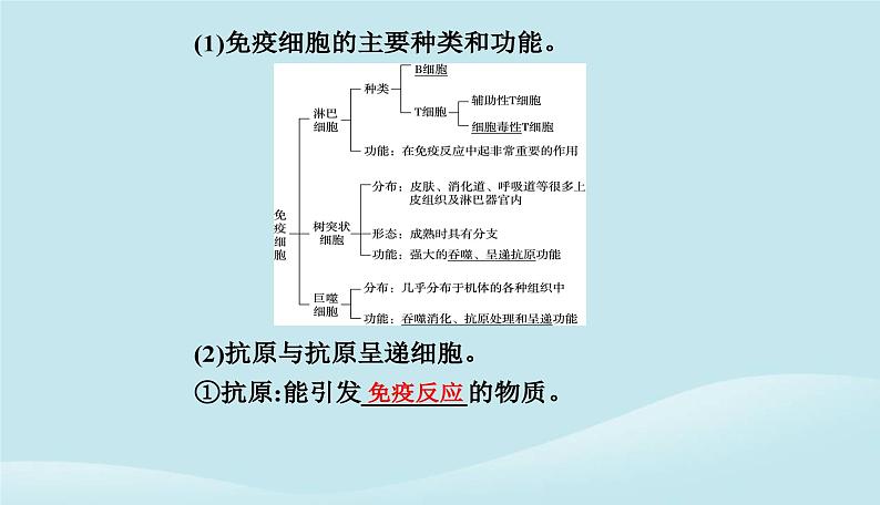 新教材2023高中生物第4章免疫调节第1节免疫系统的组成和功能课件新人教版选择性必修1第6页