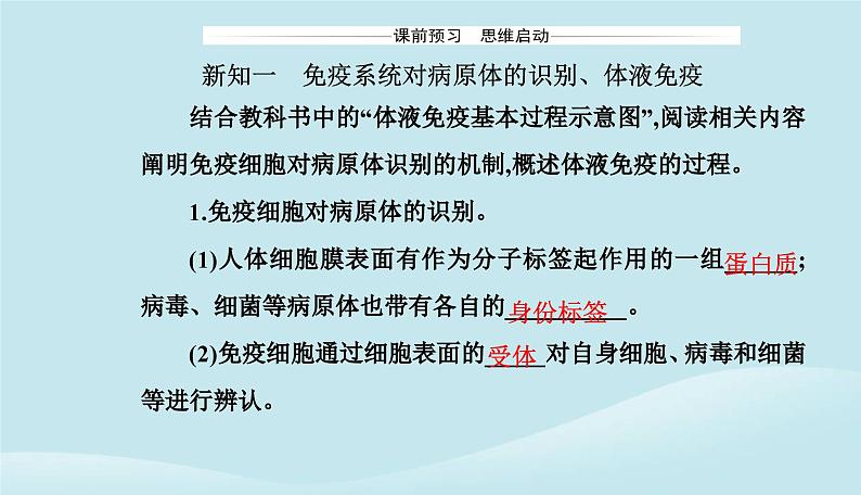 新教材2023高中生物第4章免疫调节第2节特异性免疫课件新人教版选择性必修103