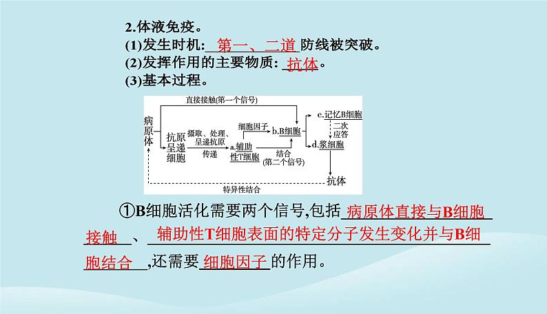 新教材2023高中生物第4章免疫调节第2节特异性免疫课件新人教版选择性必修104