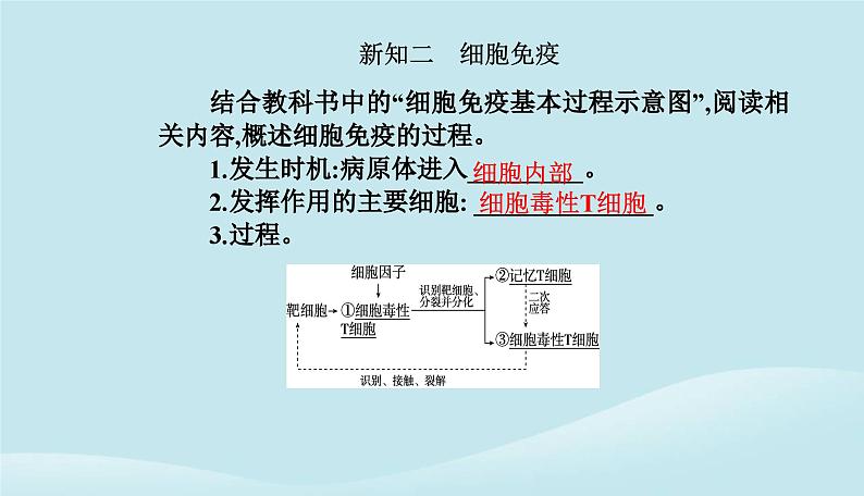 新教材2023高中生物第4章免疫调节第2节特异性免疫课件新人教版选择性必修106