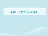 新教材2023高中生物第5章植物生命活动的调节第1节植物生长素课件新人教版选择性必修1