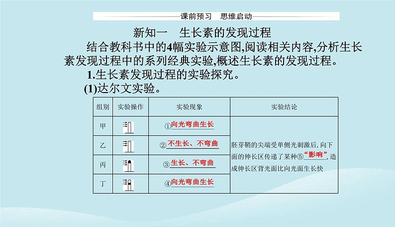 新教材2023高中生物第5章植物生命活动的调节第1节植物生长素课件新人教版选择性必修103