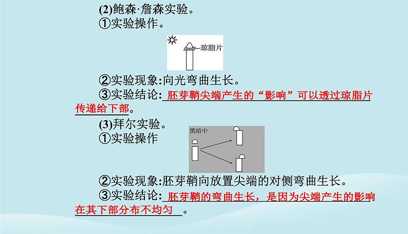 新教材2023高中生物第5章植物生命活动的调节第1节植物生长素课件新人教版选择性必修104