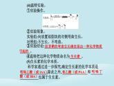 新教材2023高中生物第5章植物生命活动的调节第1节植物生长素课件新人教版选择性必修1