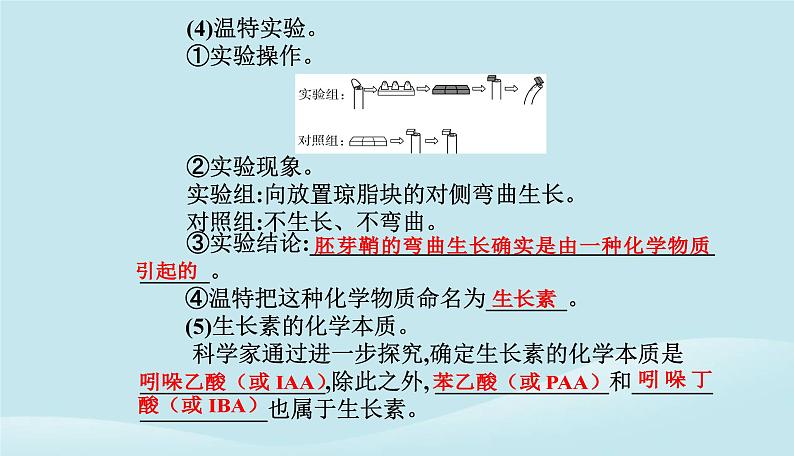 新教材2023高中生物第5章植物生命活动的调节第1节植物生长素课件新人教版选择性必修105