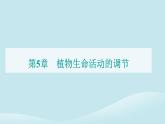 新教材2023高中生物第5章植物生命活动的调节第2节其他植物激素课件新人教版选择性必修1