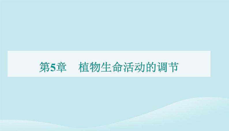 新教材2023高中生物第5章植物生命活动的调节第2节其他植物激素课件新人教版选择性必修101