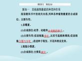 新教材2023高中生物第5章植物生命活动的调节第2节其他植物激素课件新人教版选择性必修1