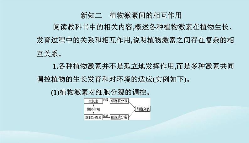 新教材2023高中生物第5章植物生命活动的调节第2节其他植物激素课件新人教版选择性必修105