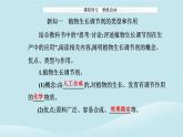 新教材2023高中生物第5章植物生命活动的调节第3节植物生长调节剂的应用课件新人教版选择性必修1