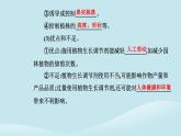 新教材2023高中生物第5章植物生命活动的调节第3节植物生长调节剂的应用课件新人教版选择性必修1