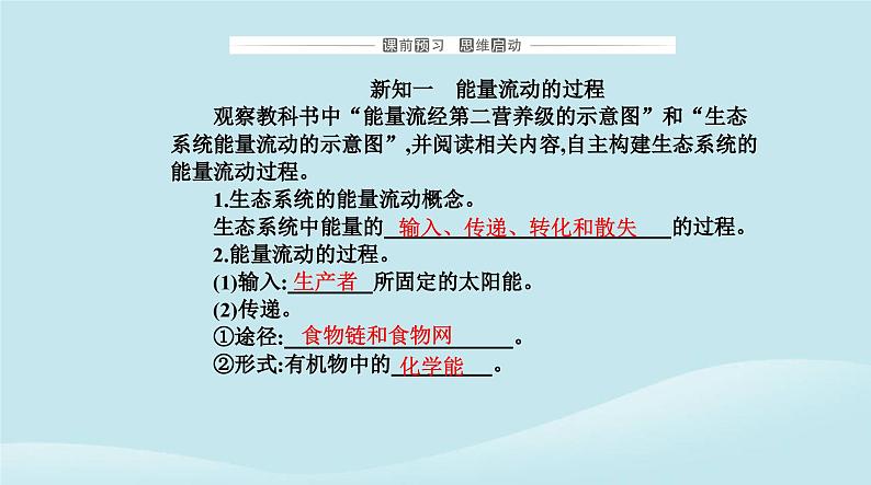 新教材2023高中生物第3章生态系统及其稳定性第2节生态系统的能量流动课件新人教版选择性必修2第3页