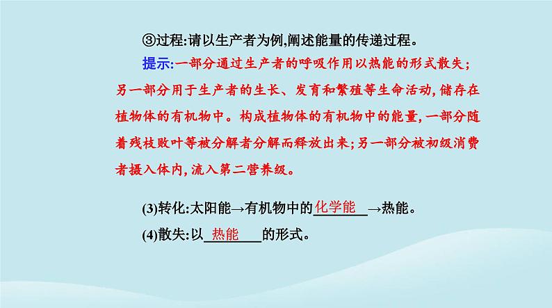 新教材2023高中生物第3章生态系统及其稳定性第2节生态系统的能量流动课件新人教版选择性必修2第4页