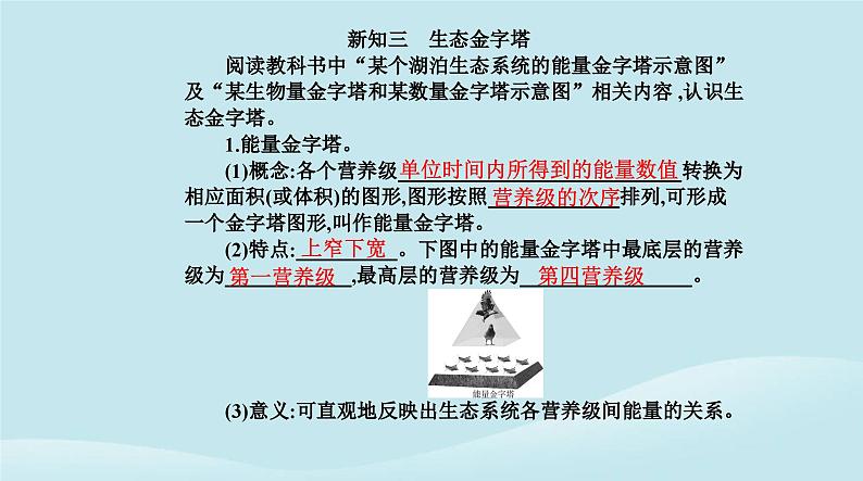 新教材2023高中生物第3章生态系统及其稳定性第2节生态系统的能量流动课件新人教版选择性必修2第7页