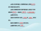 新教材2023高中生物第3章生态系统及其稳定性第3节生态系统的物质循环课件新人教版选择性必修2